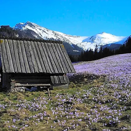 Górski Kalatówki * Zakopane